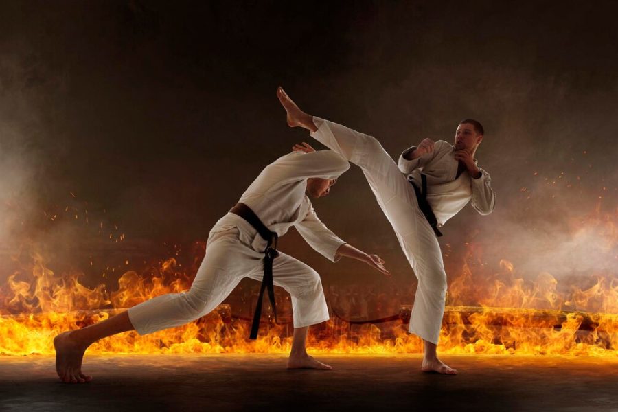 karate-fighters_654080-1345