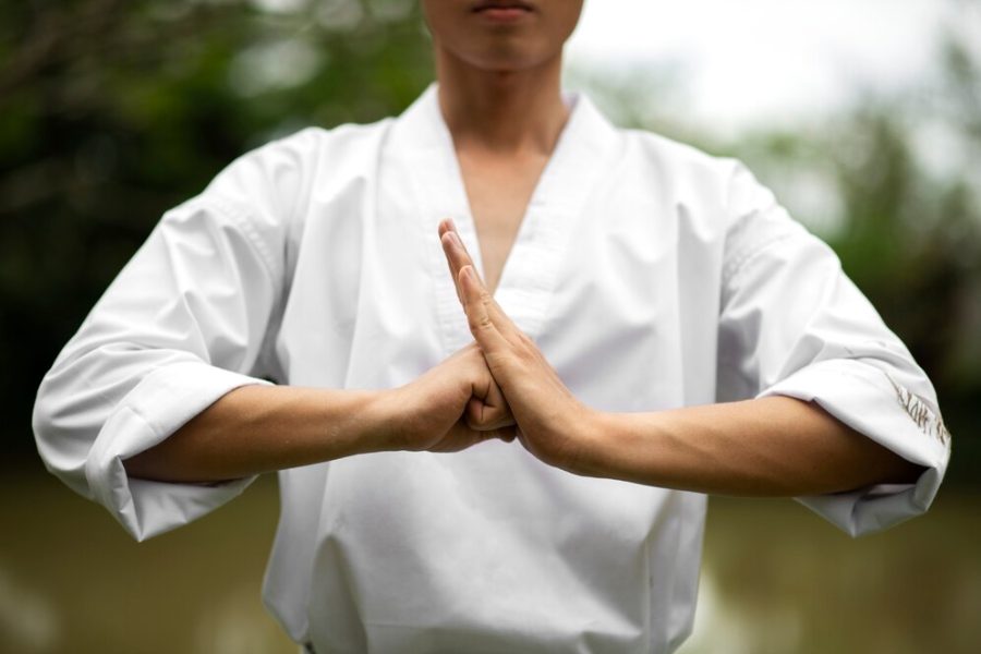 man-training-taekwondo-outdoors-nature_23-2149908477 man-training-taekwondo-outdoors-nature_23-2149908477